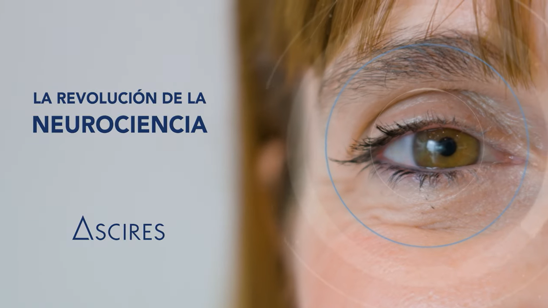 Imagen de galería