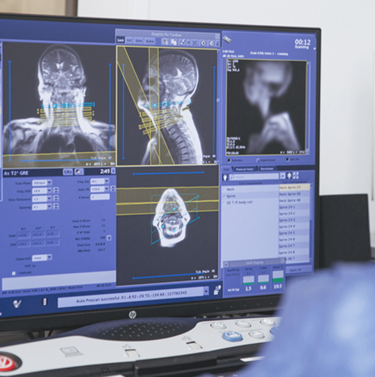 Foto del artículo: La investigación impulsa nuestras acciones 